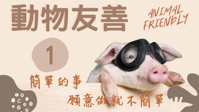 動物友善 美味真相 痛苦的一生 是你短暫的一餐