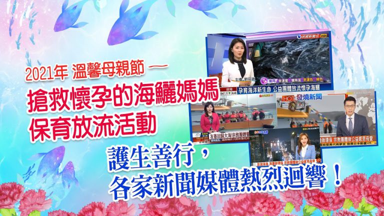 溫馨母親節 搶救懷孕的海鱺媽媽 東森 民視 非凡 新聞媒體 報章雜誌熱烈報導