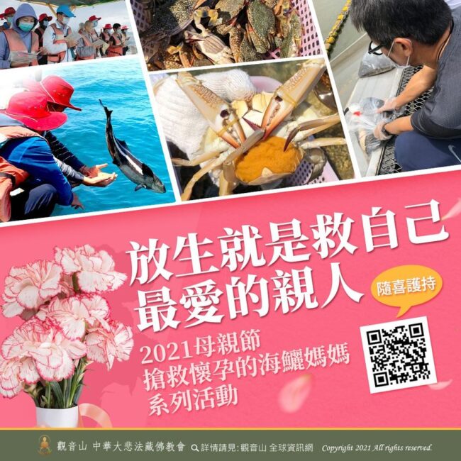 放生就是救自己最愛的親人