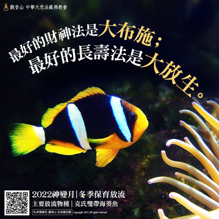 最好的財神法 大布施 長壽法 大放生 小丑魚