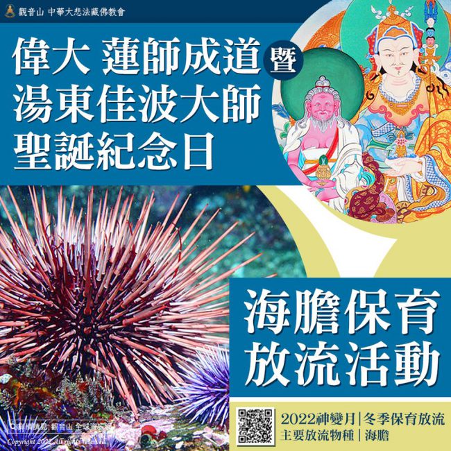 蓮師成道暨湯東佳波大師聖誕紀念日海膽保育放流活動